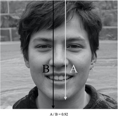 Facial Prominence of Political Candidates: Gender Differences in Private and Public Pages on Facebook Profile